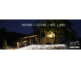 Cuñas Davia, Historia, Cultura, Arte, Vino