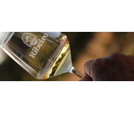 Porqué Somos Ribeiro