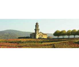 Qué ver en O Ribeiro: Patrimonio cultural