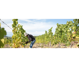 Qué ver en O Ribeiro: Patrimonio Natural